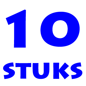 Oliebollen 10 stuks